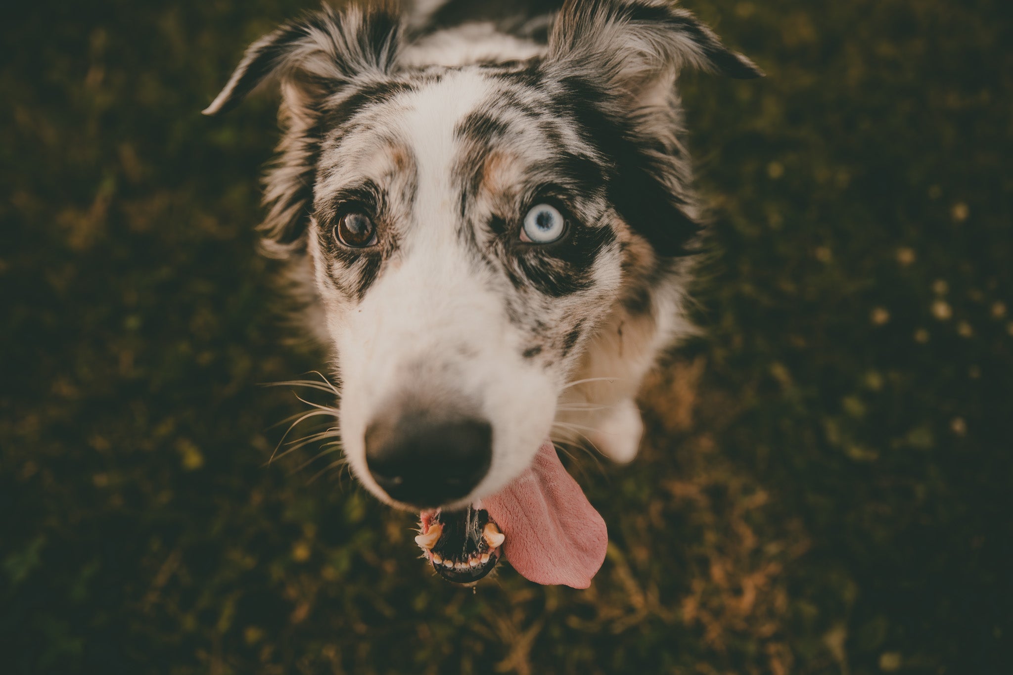 Walter Jones + Friends