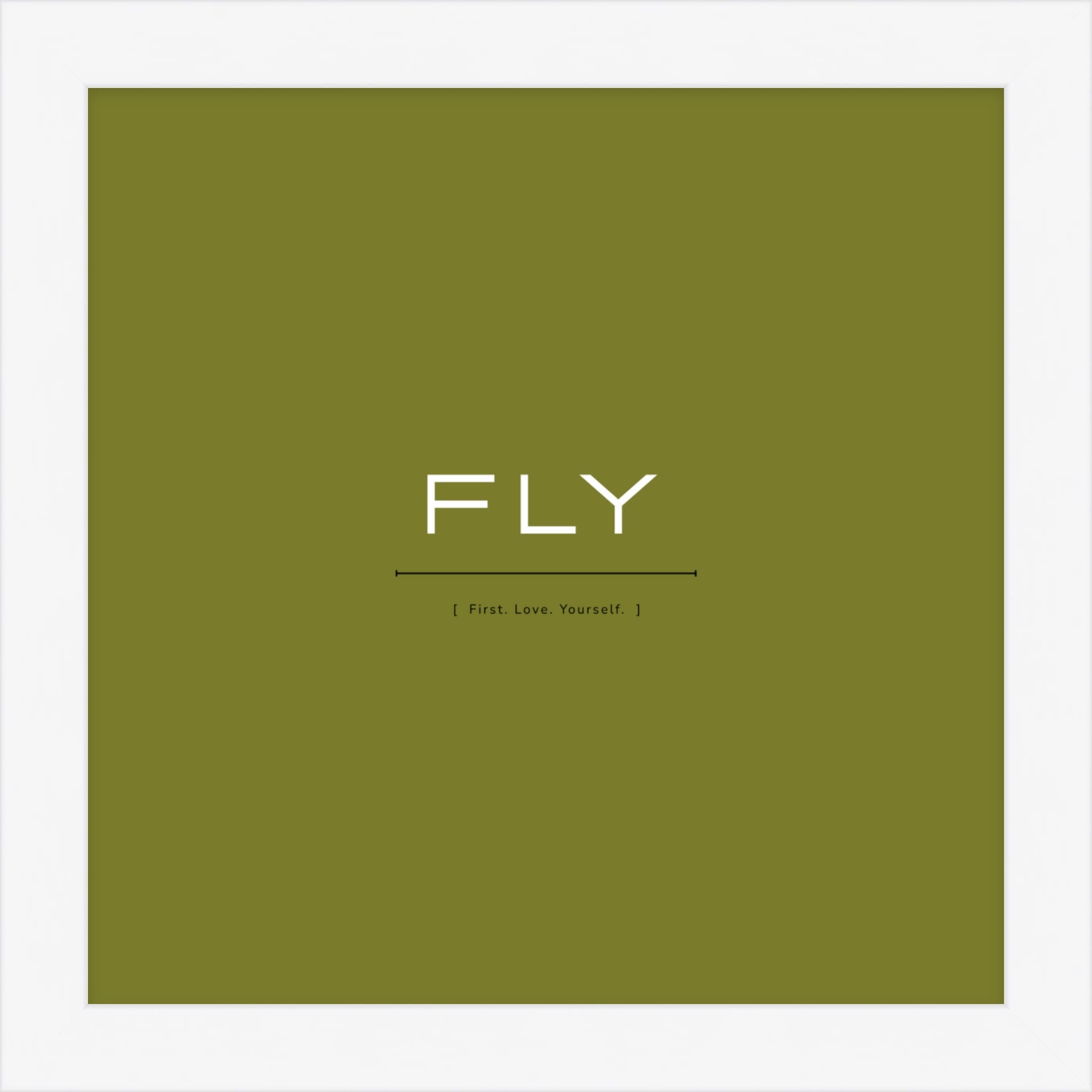 FLY