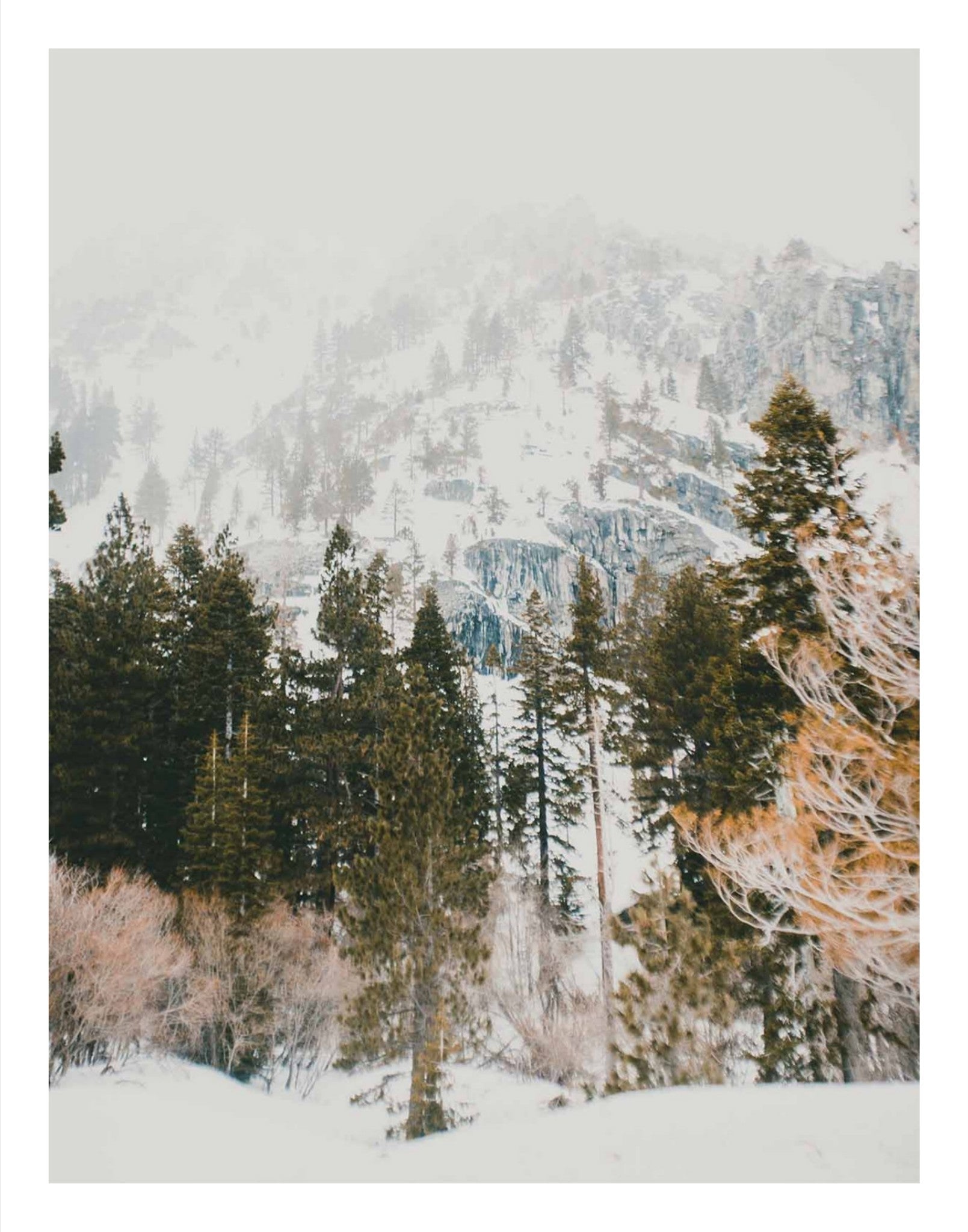 Talking Pines Part I