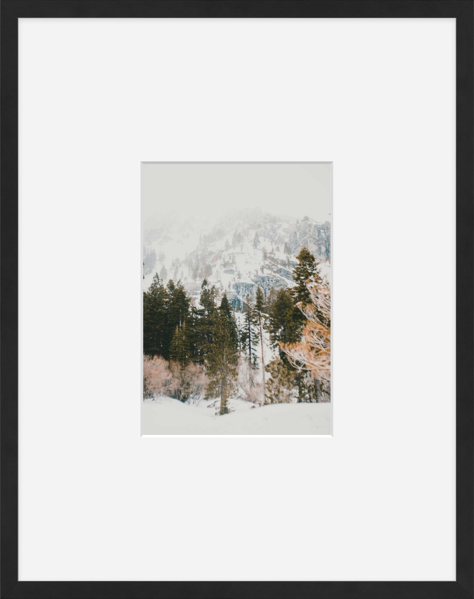 Talking Pines Part I