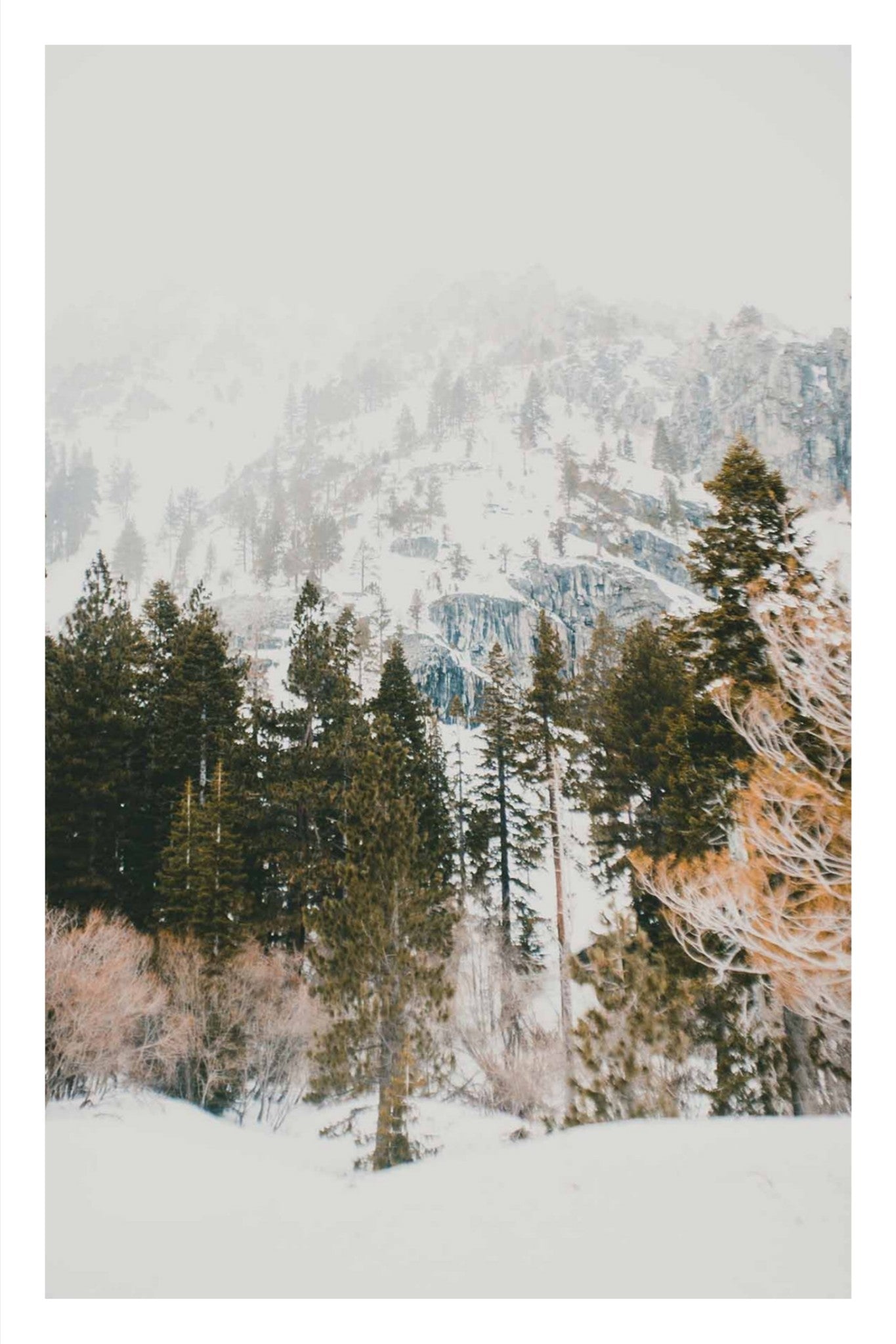 Talking Pines Part I