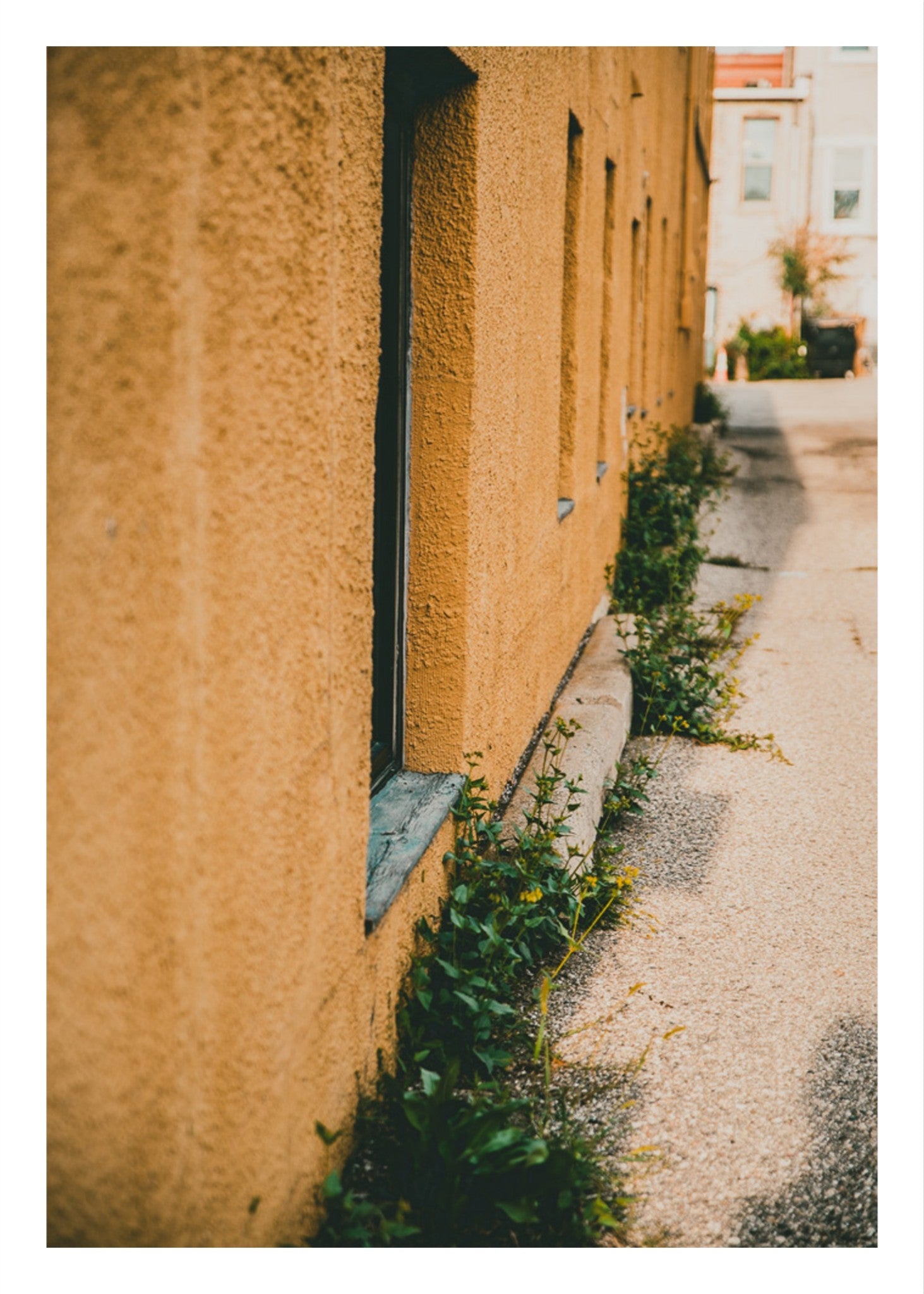 Yellow Brick Road Part I