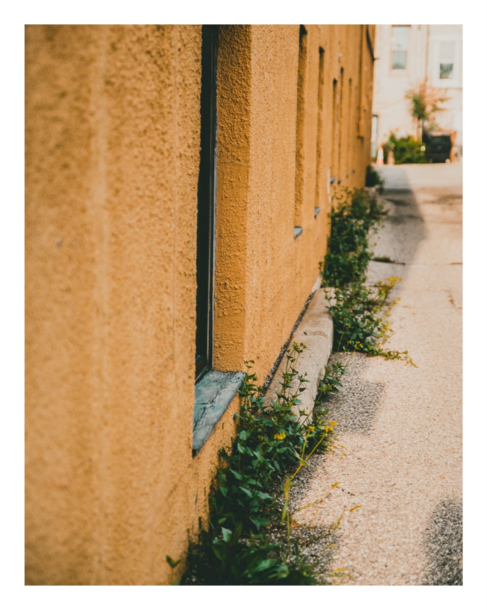 Yellow Brick Road Part I