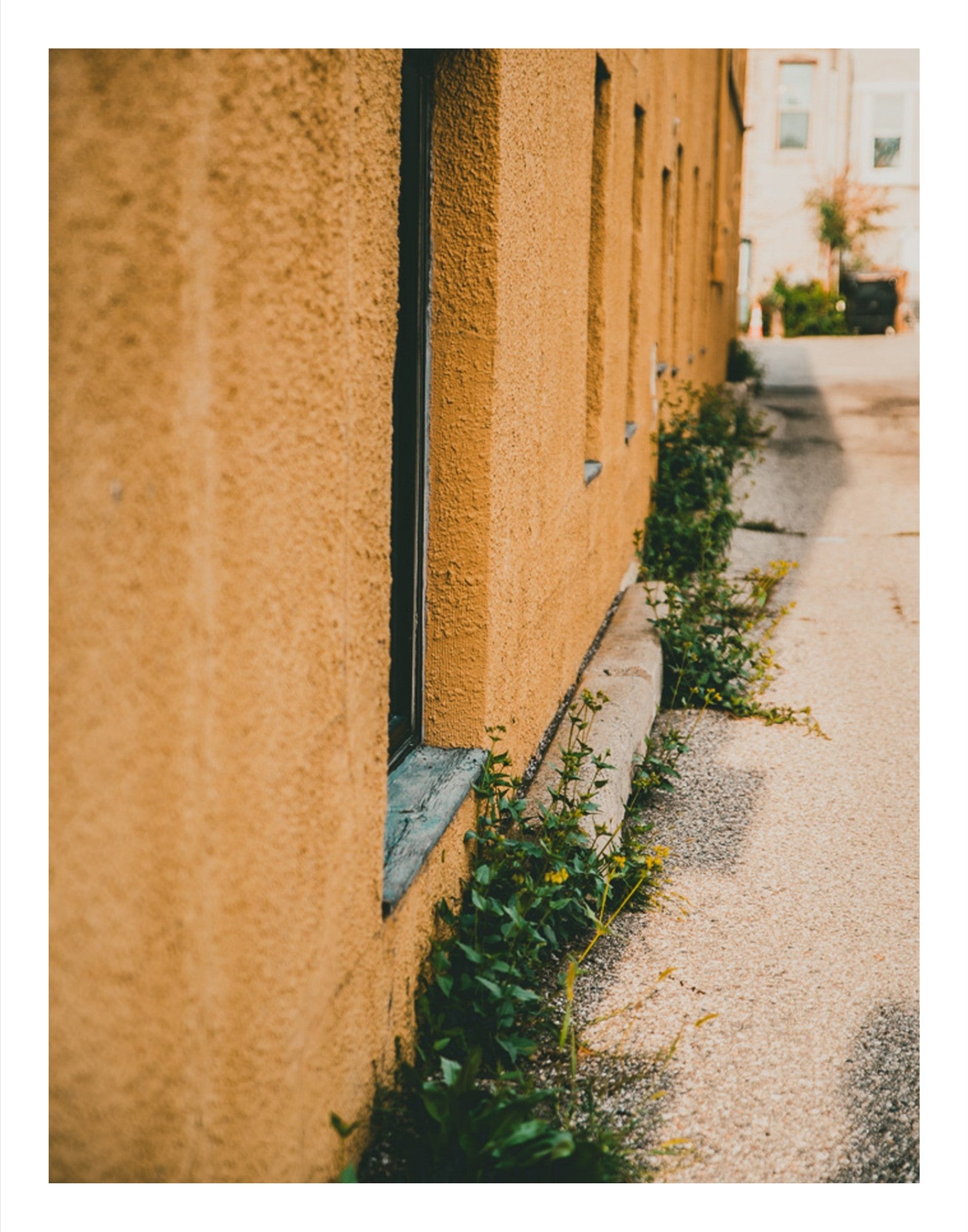 Yellow Brick Road Part I