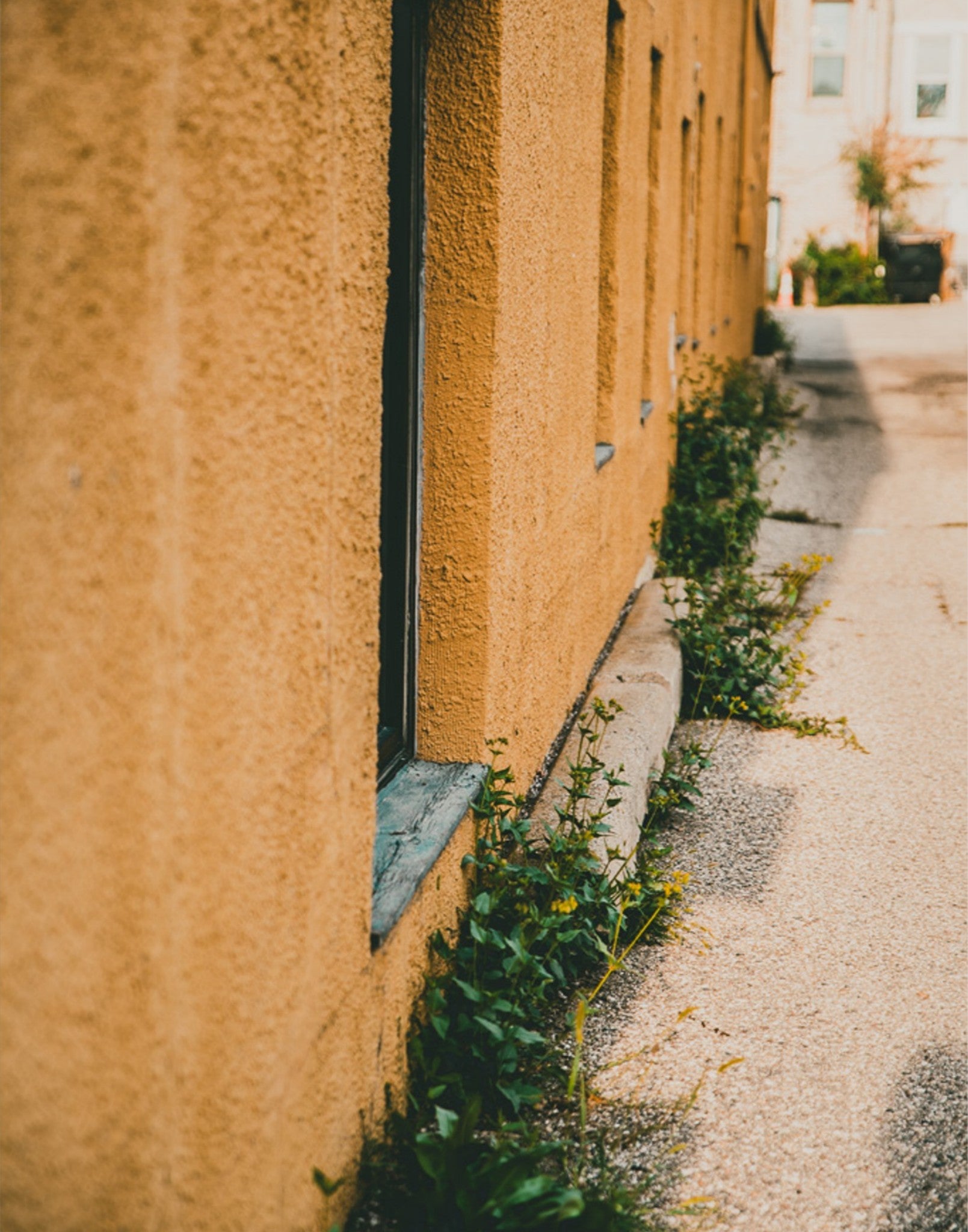 Yellow Brick Road Part I