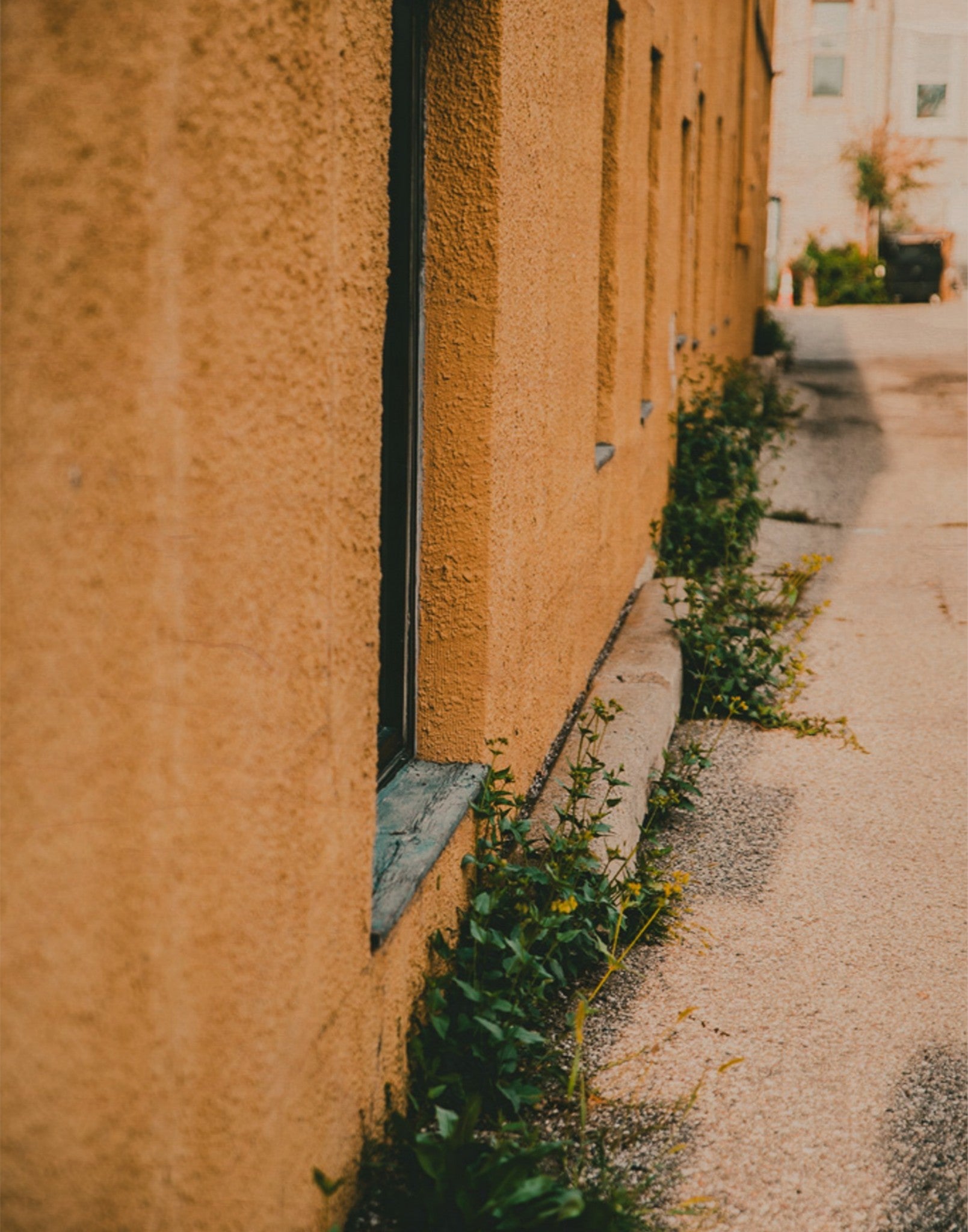 Yellow Brick Road Part I