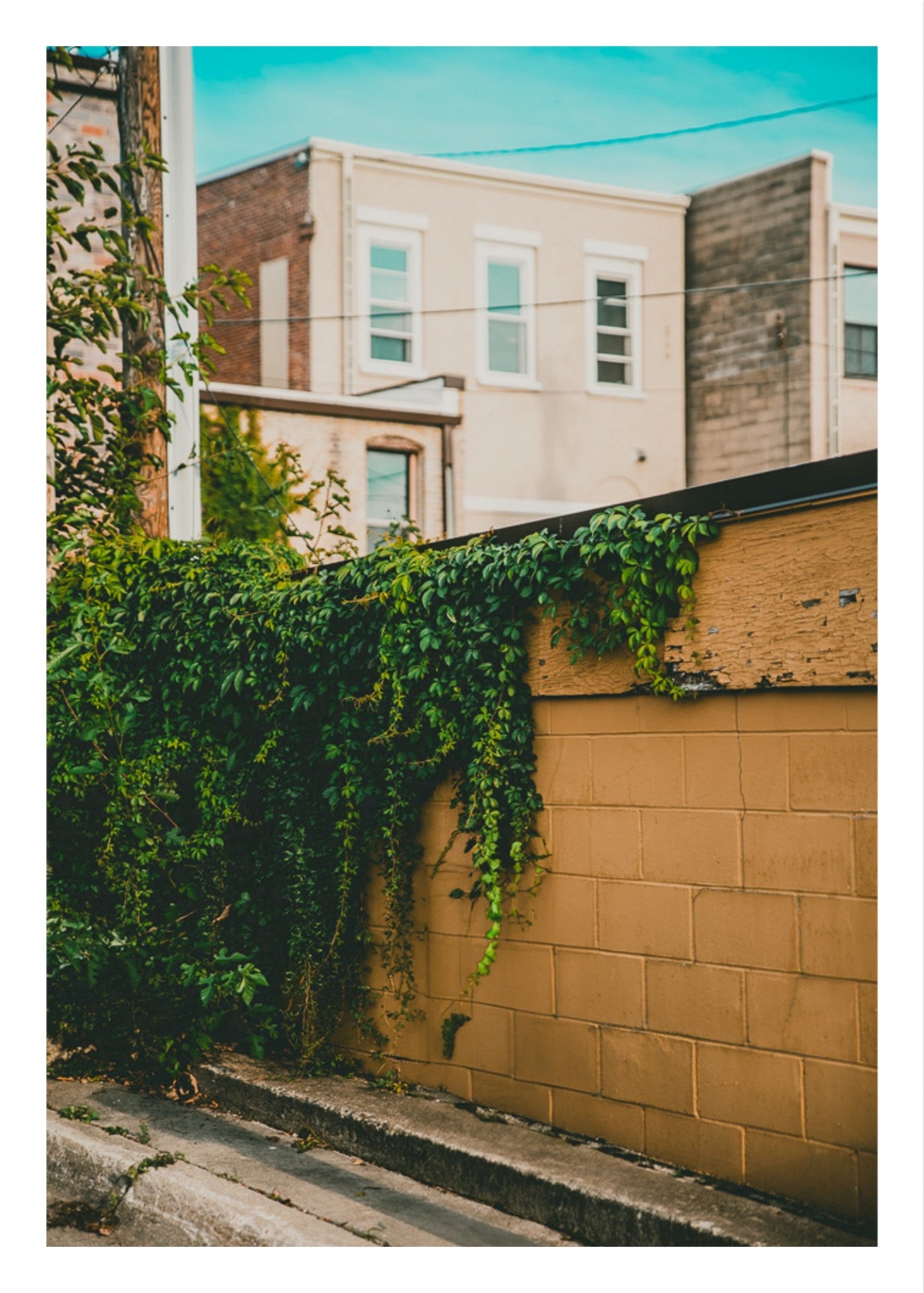 Yellow Brick Road Part III