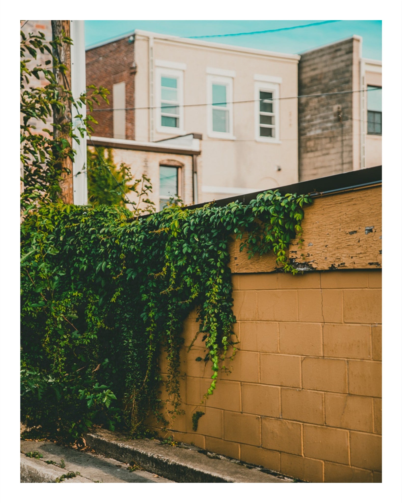 Yellow Brick Road Part III