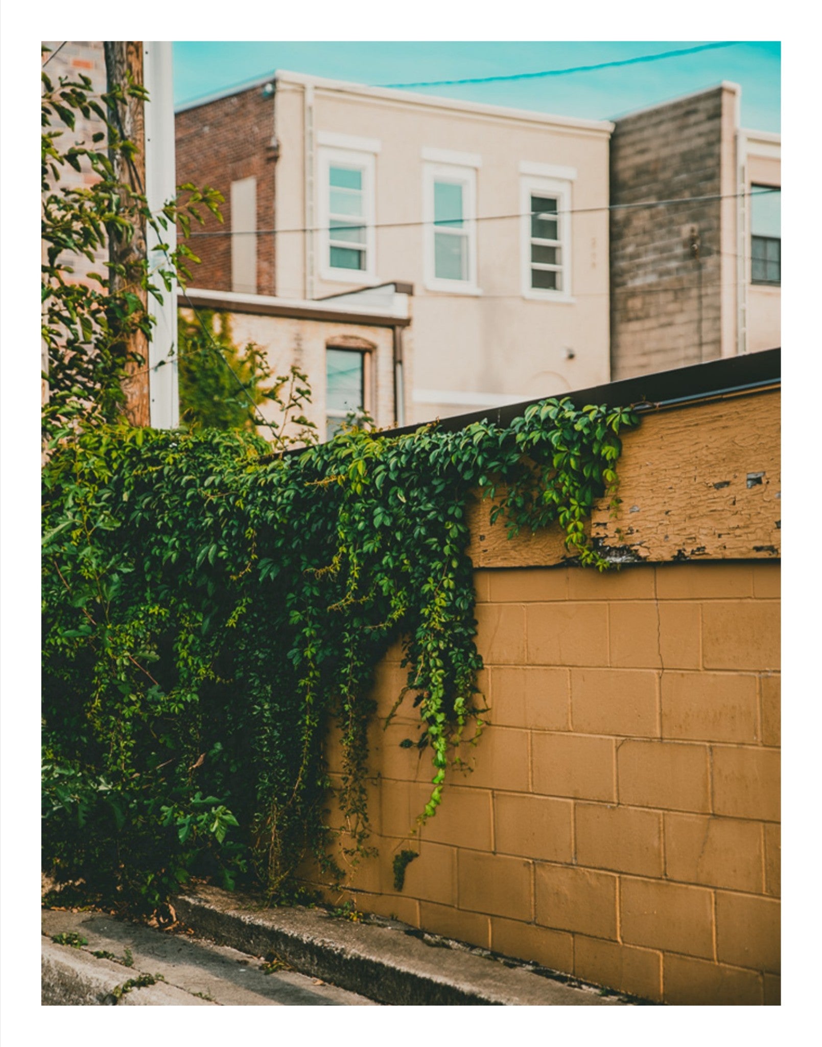 Yellow Brick Road Part III