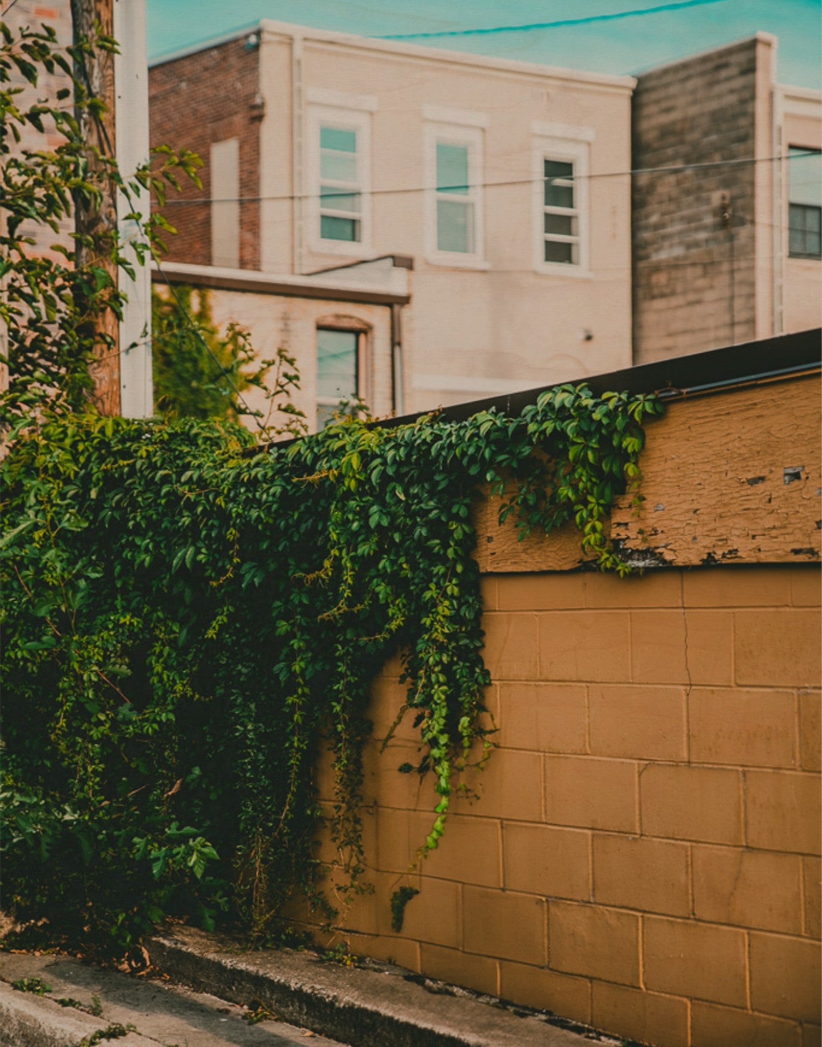 Yellow Brick Road Part III