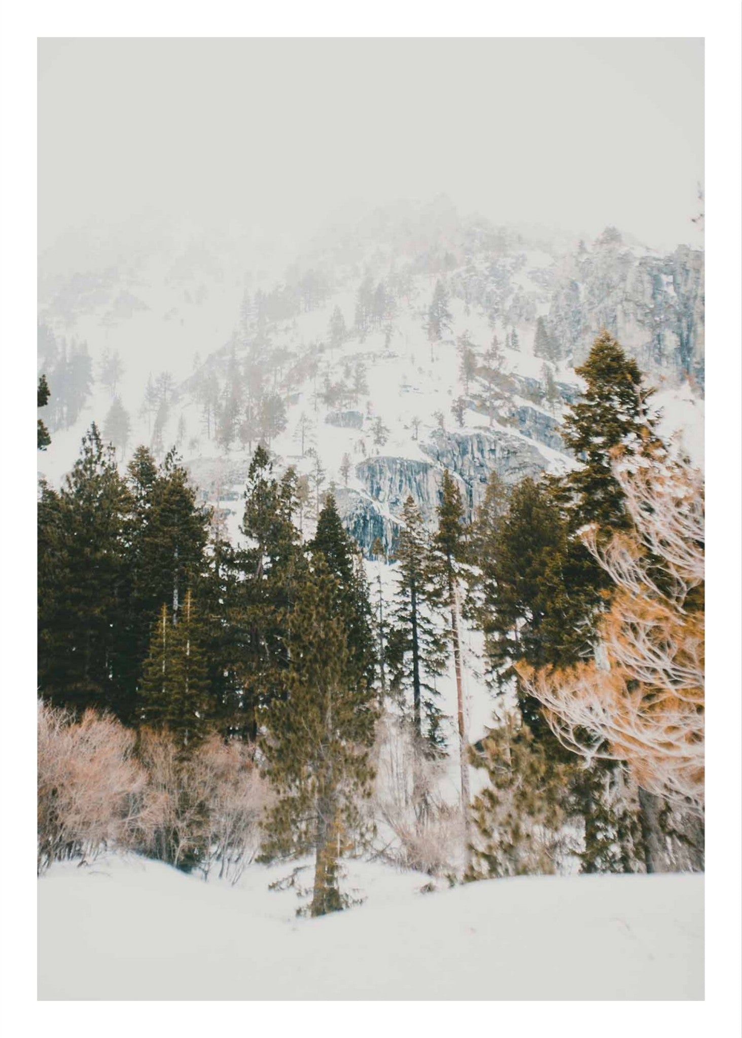 Talking Pines Part I