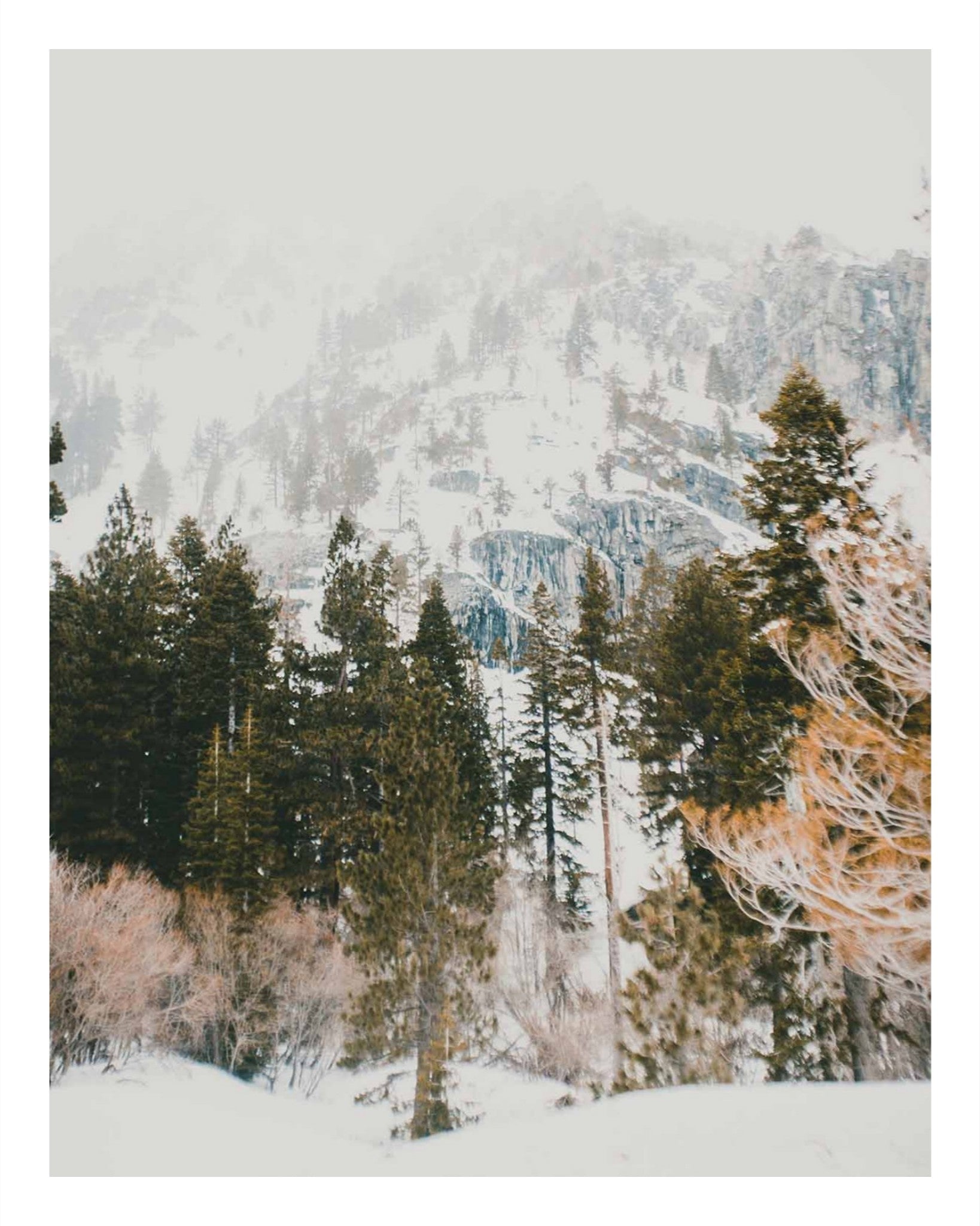 Talking Pines Part I