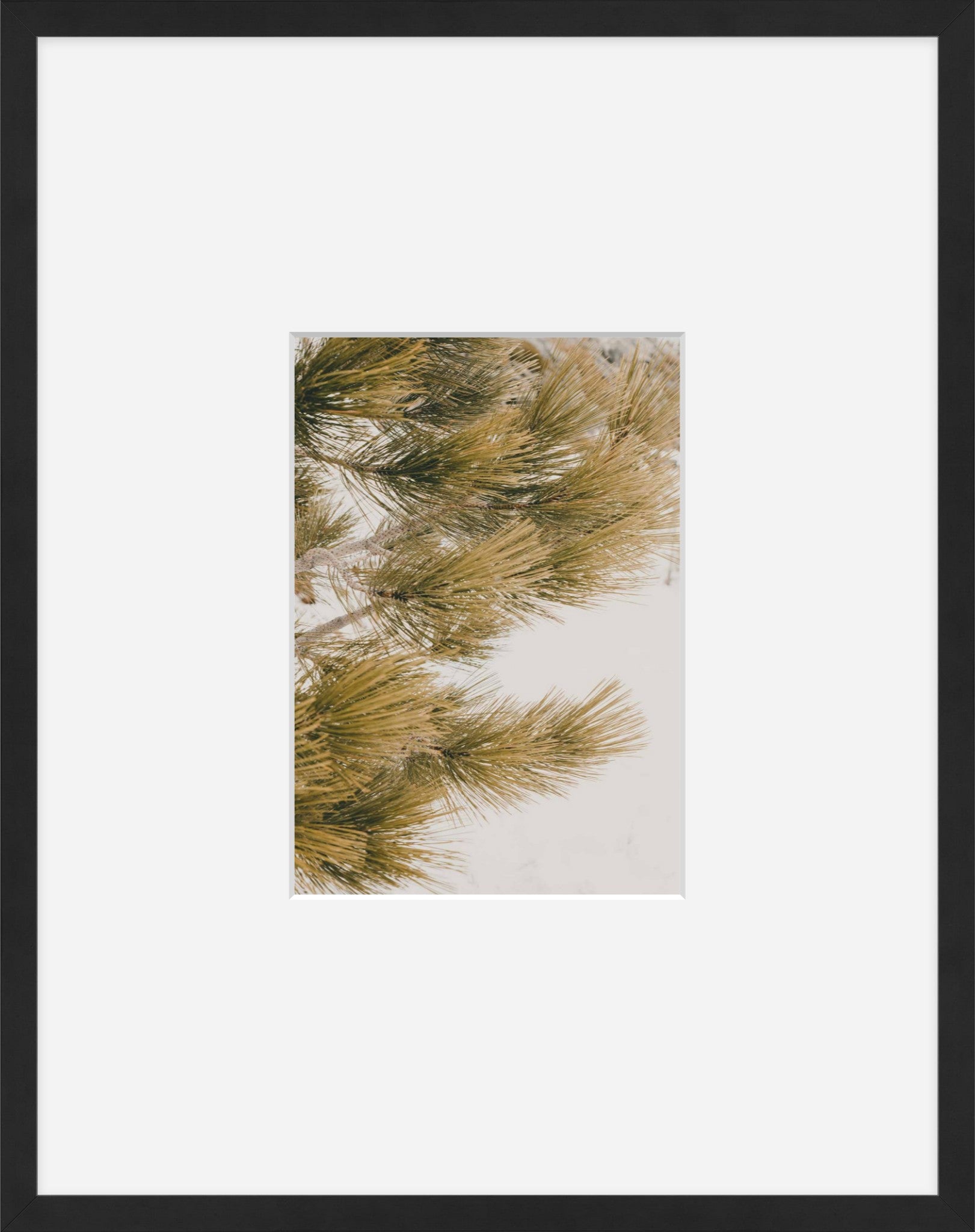 Talking Pines Part III