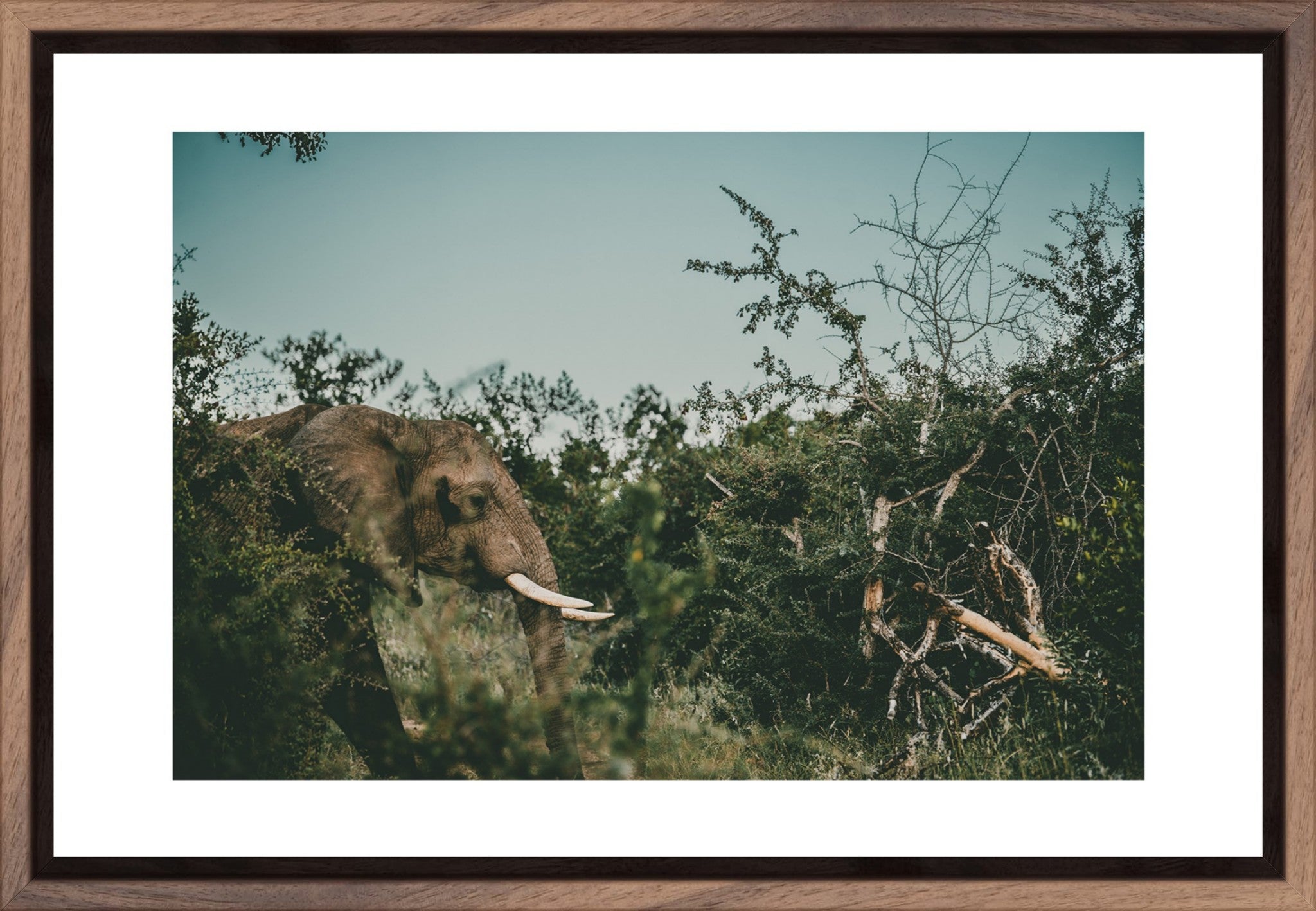 Ellie's Hunt For Happiness