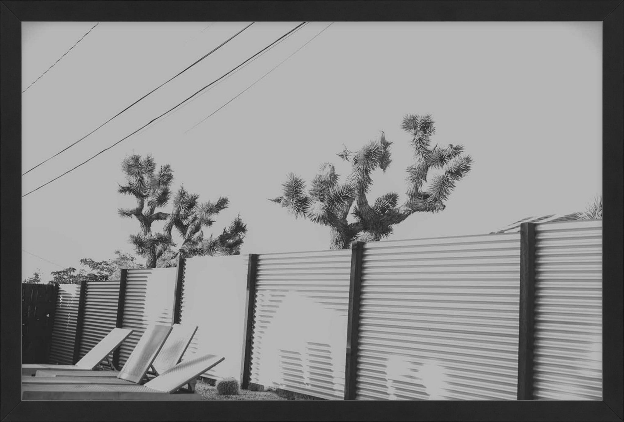 Joshua Tree
