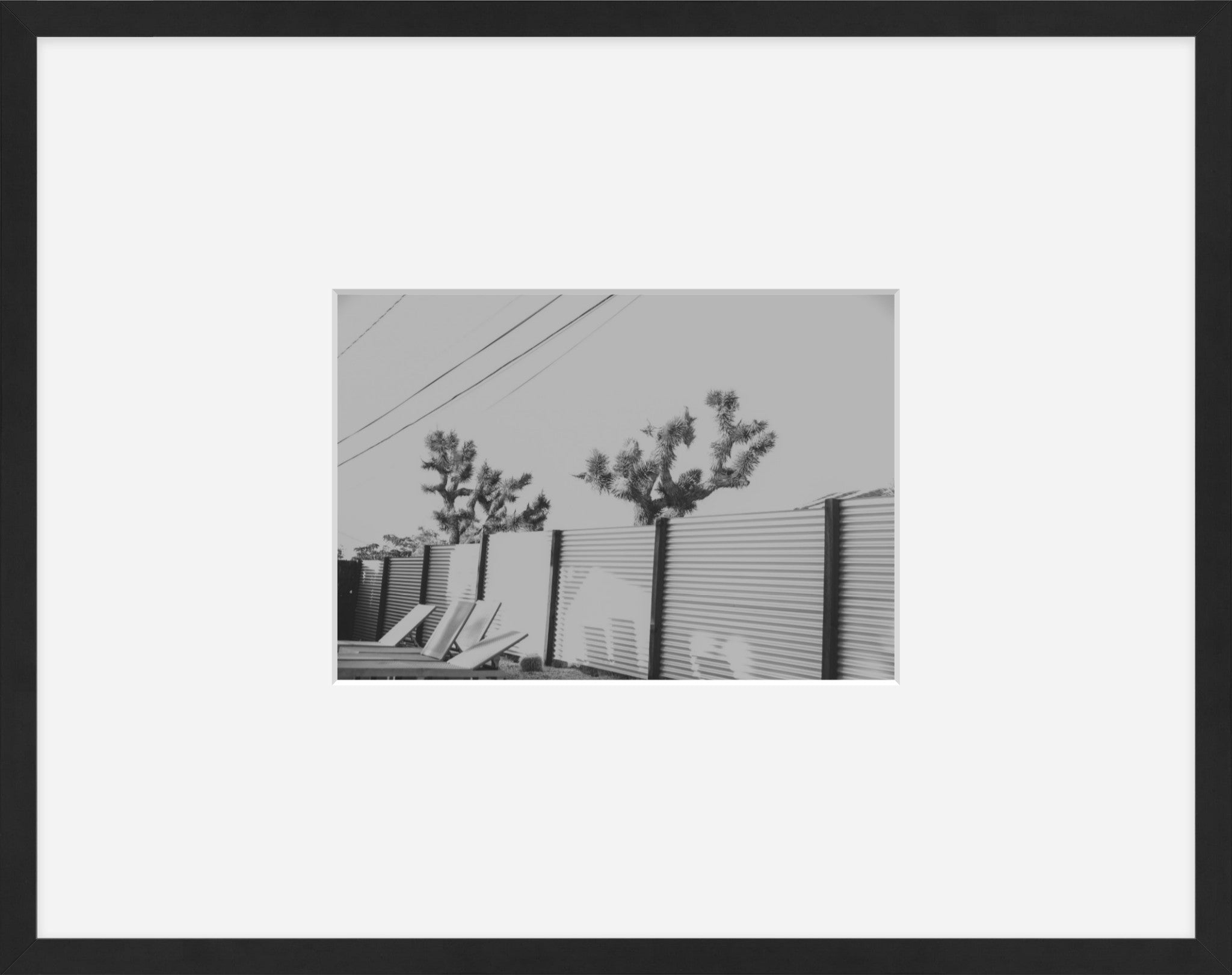 Joshua Tree