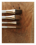 Paint Brushes.