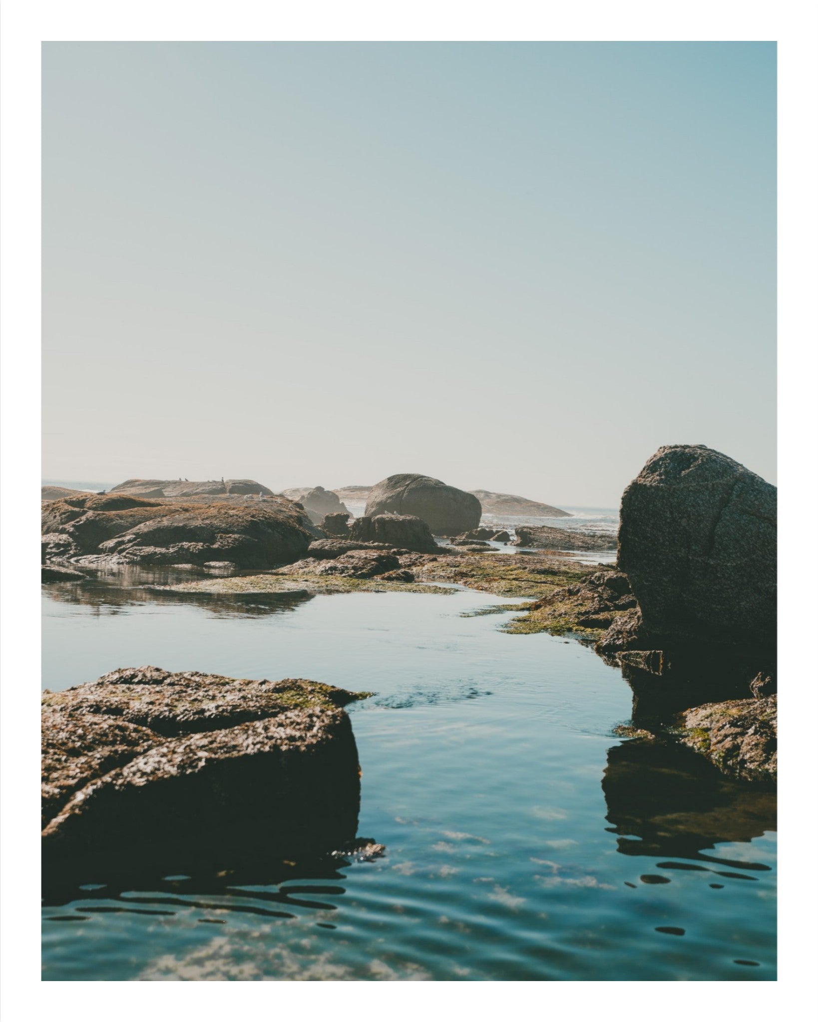 Low Tide.