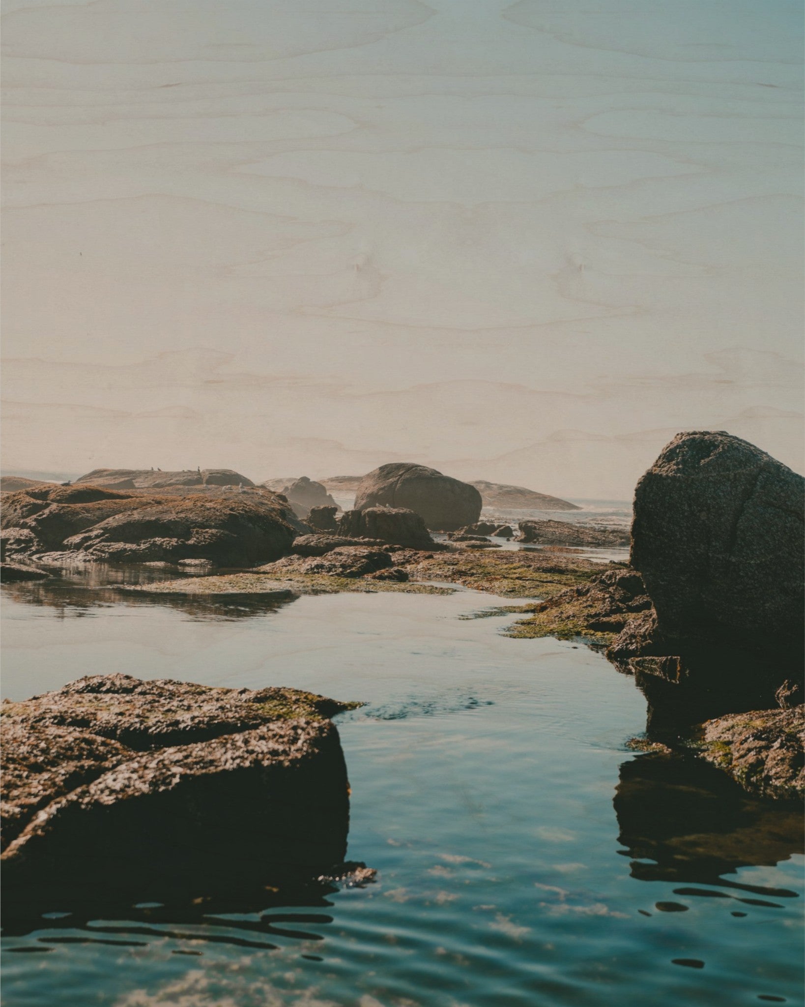 Low Tide.