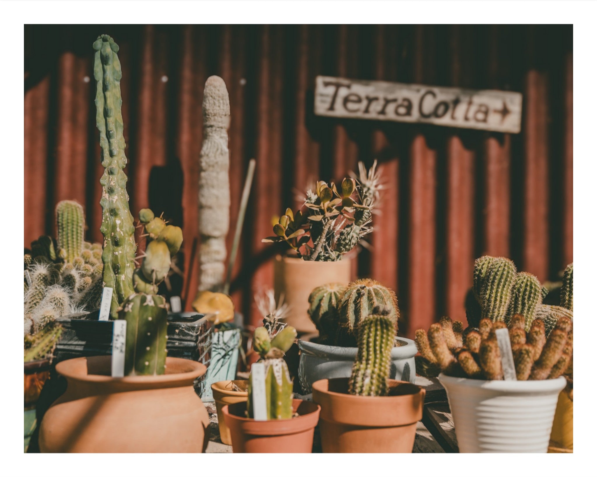 TerraCotta.