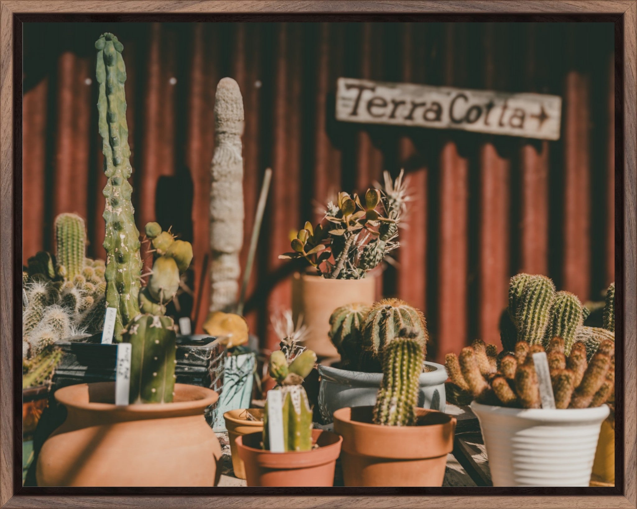 TerraCotta.