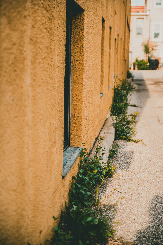 Yellow Brick Road Part I