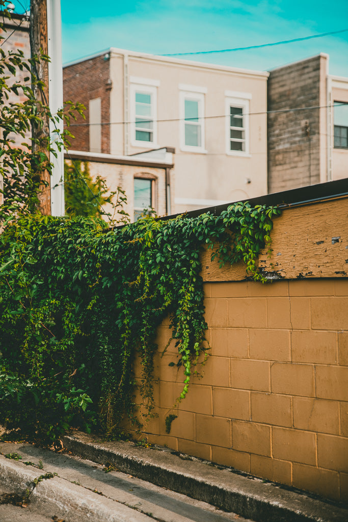 Yellow Brick Road Part III