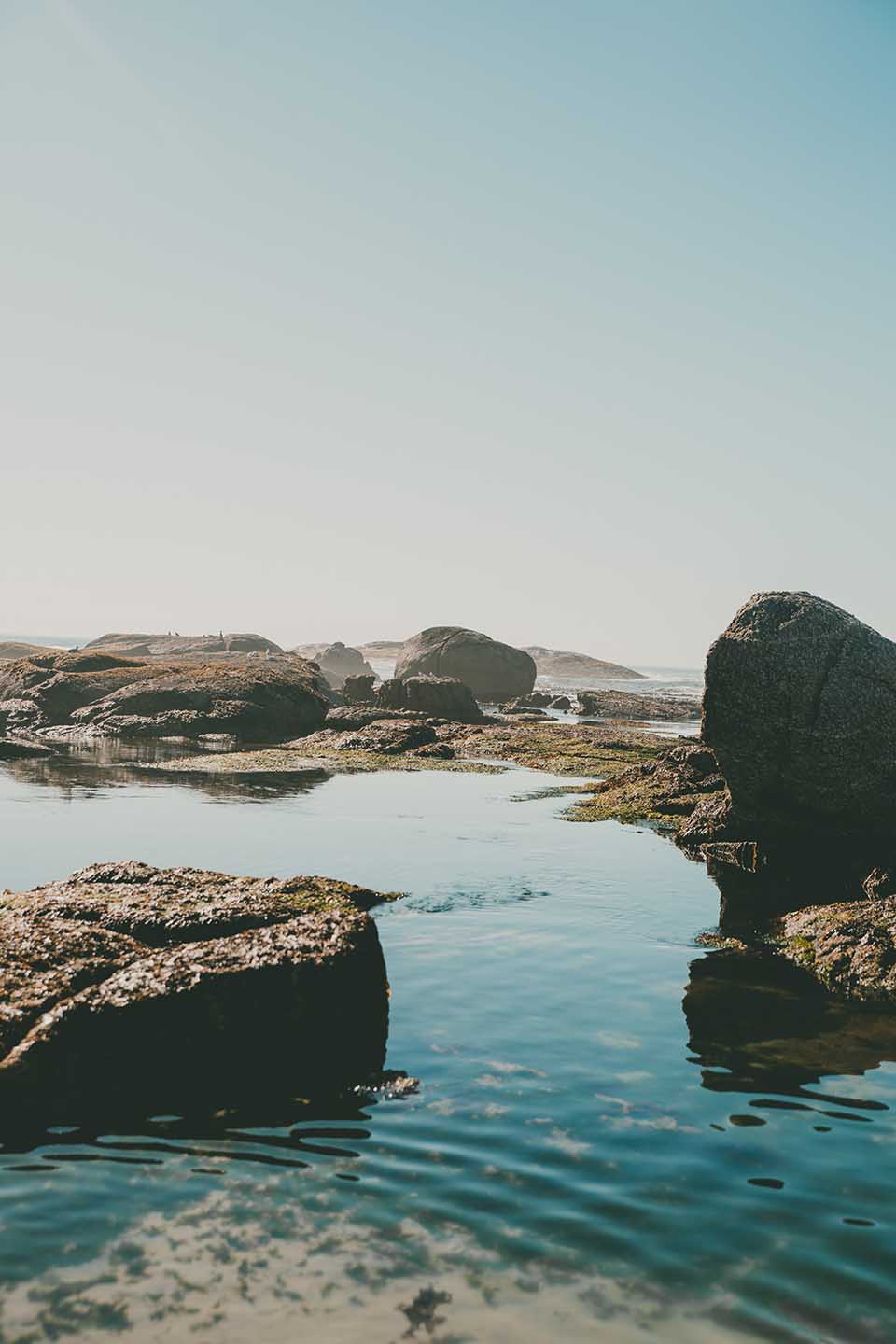 Low Tide.