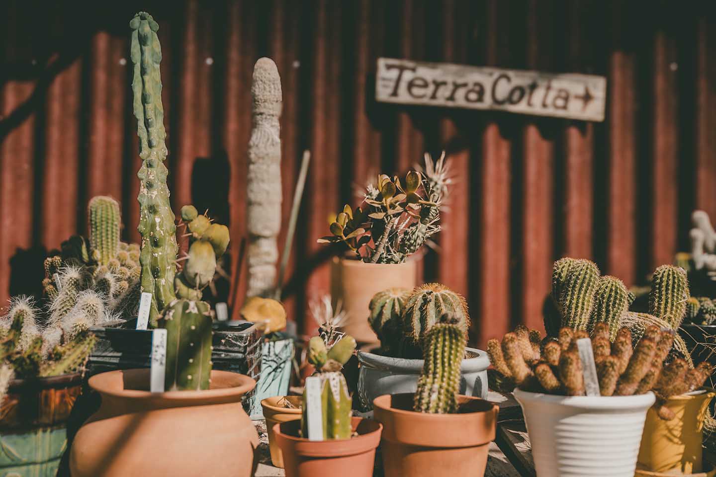 TerraCotta.
